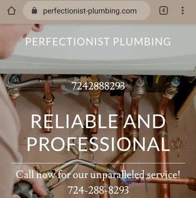 Perfectionist Plumbing
