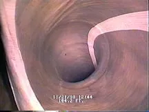 Slide of Performance Pipelining Inc