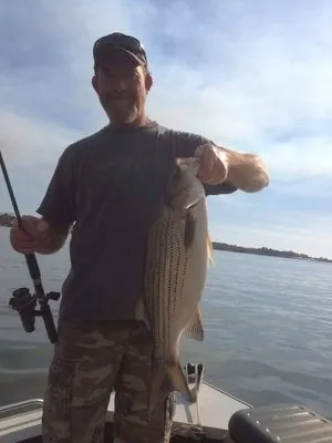 Perkins Plumbing Logo