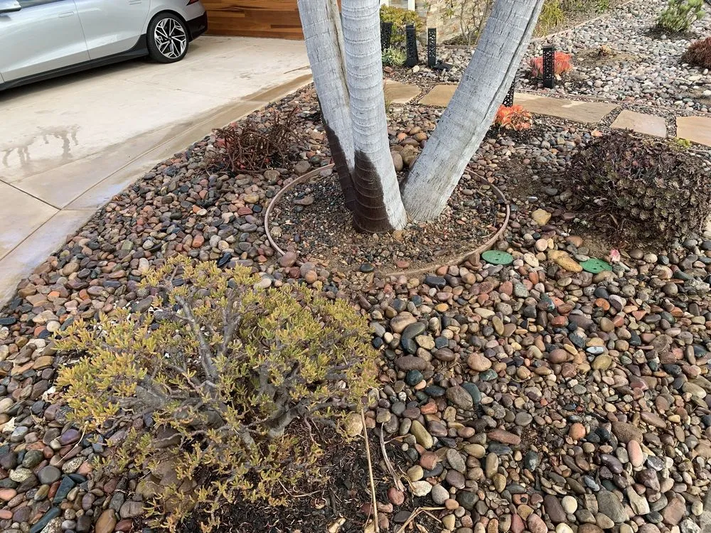 Emergency drain cleaning for homes in El Cajon, CA by Perry Plumbing & Pipelining