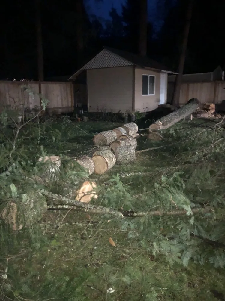 Trusted pipe repair experts serving North Bend, WA - Perryboy Construction