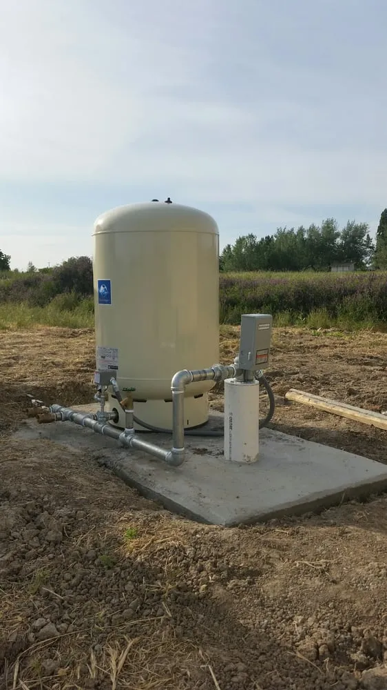 Slide of Perry's Pumps