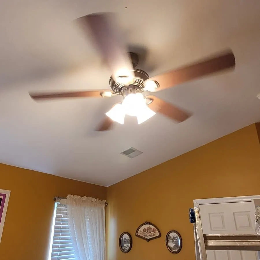 Slide of Petar Tachev