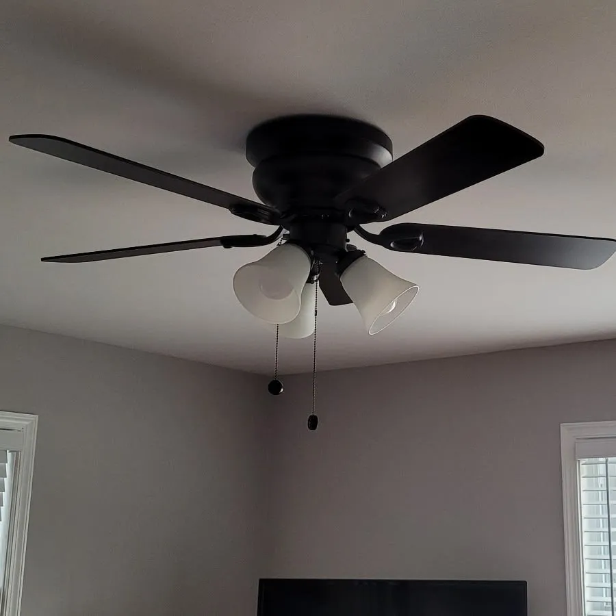 Slide of Petar Tachev