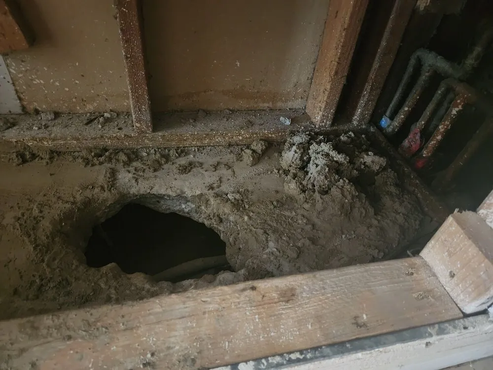 Slide of Peter Mikov is my plumber