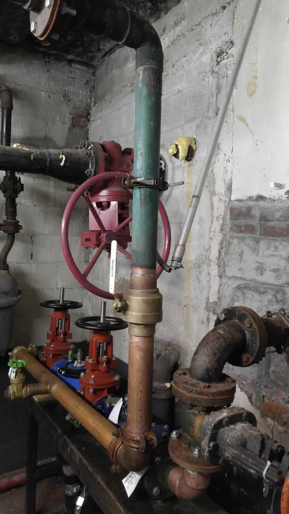 Expert plumbing repair in Flushing, NY by Peter Plumbing