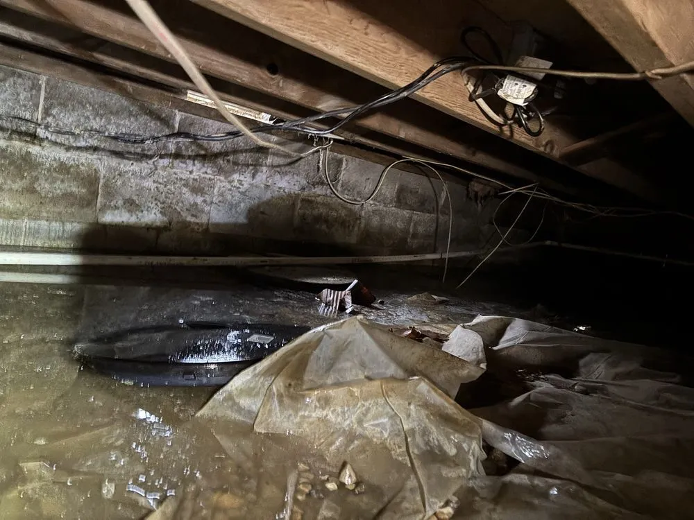 Emergency pipe repair for homes in Greenwood, IN by Peterman Brothers