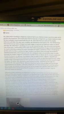 Peters Plumbing Cape Coral Logo