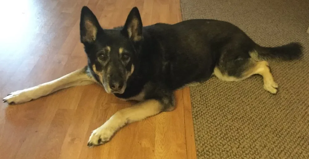 Slide of Pete's Plumbing