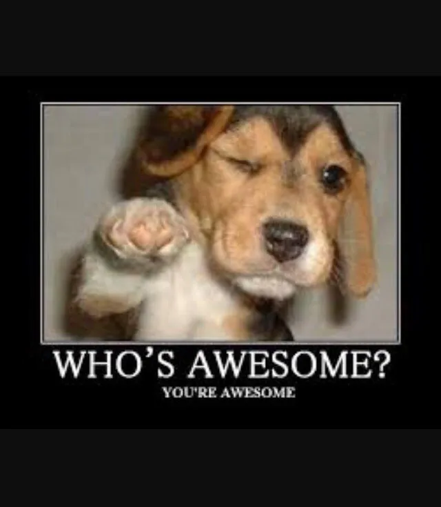 Top-rated pipe repair service in Signal Hill, CA - Pete's Plumbing