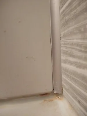 Petrini Custom Homes Logo