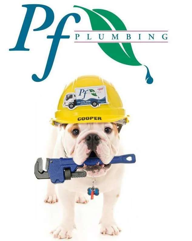 Trusted water heater service service in Winston-Salem, NC - PF Plumbing