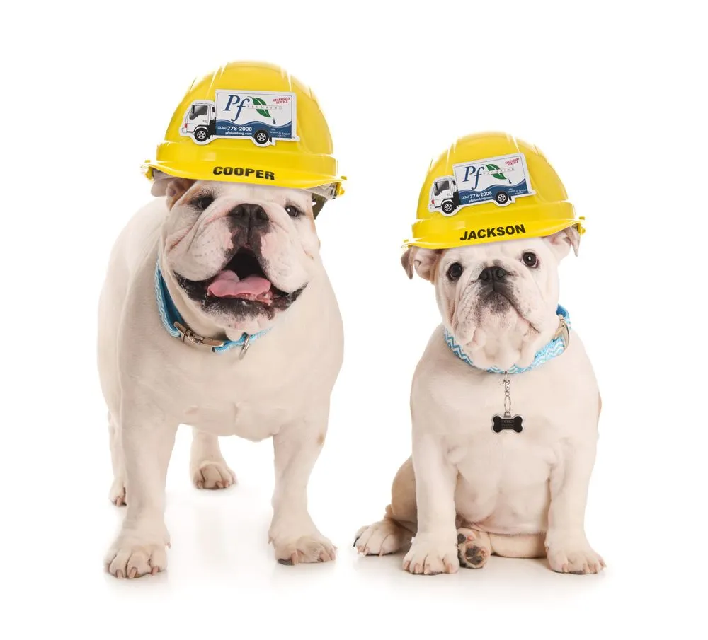 Trusted plumbing repair service in Winston-Salem, NC - PF Plumbing