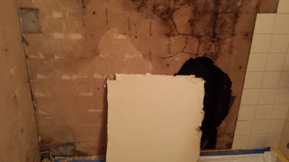 Slide of Phileo Handyman Services