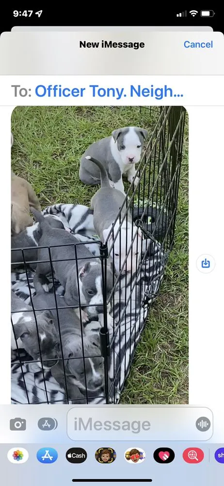 Slide of Phillips Appliance Service Repairs