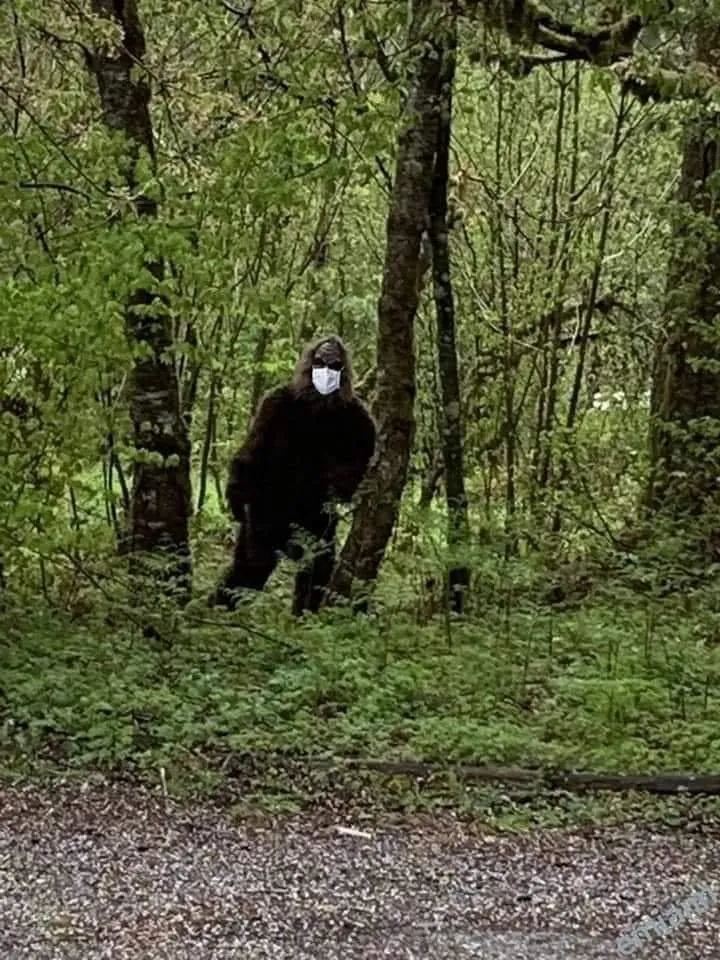 Slide of Phillips Construction & Remodeling