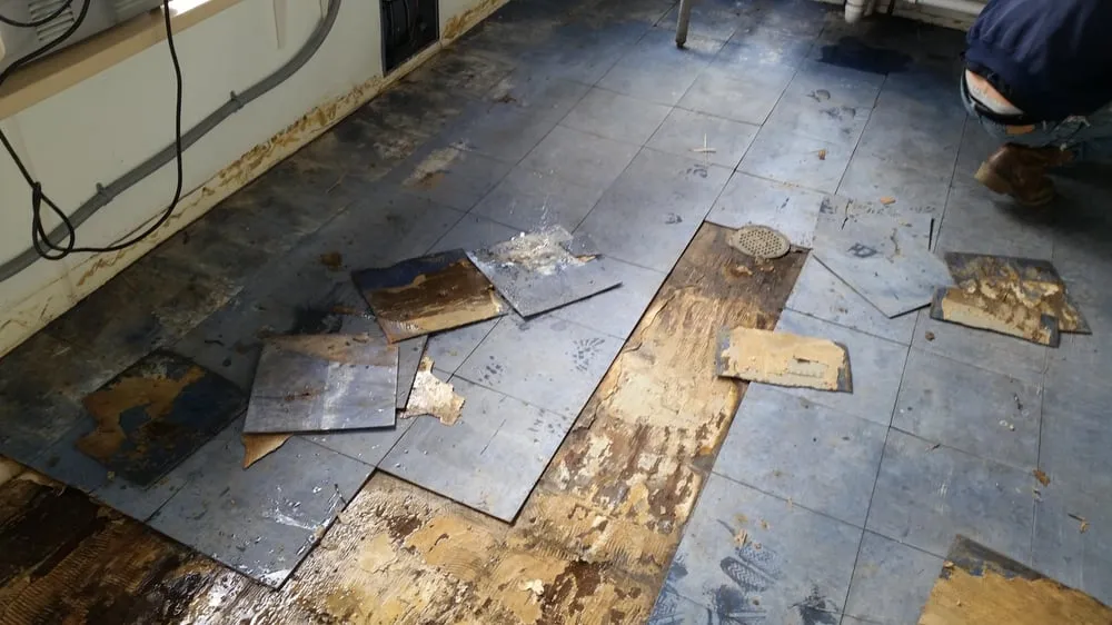 Professional drain cleaning experts serving Conestoga, PA - Phillips' Painting & Home Improvements