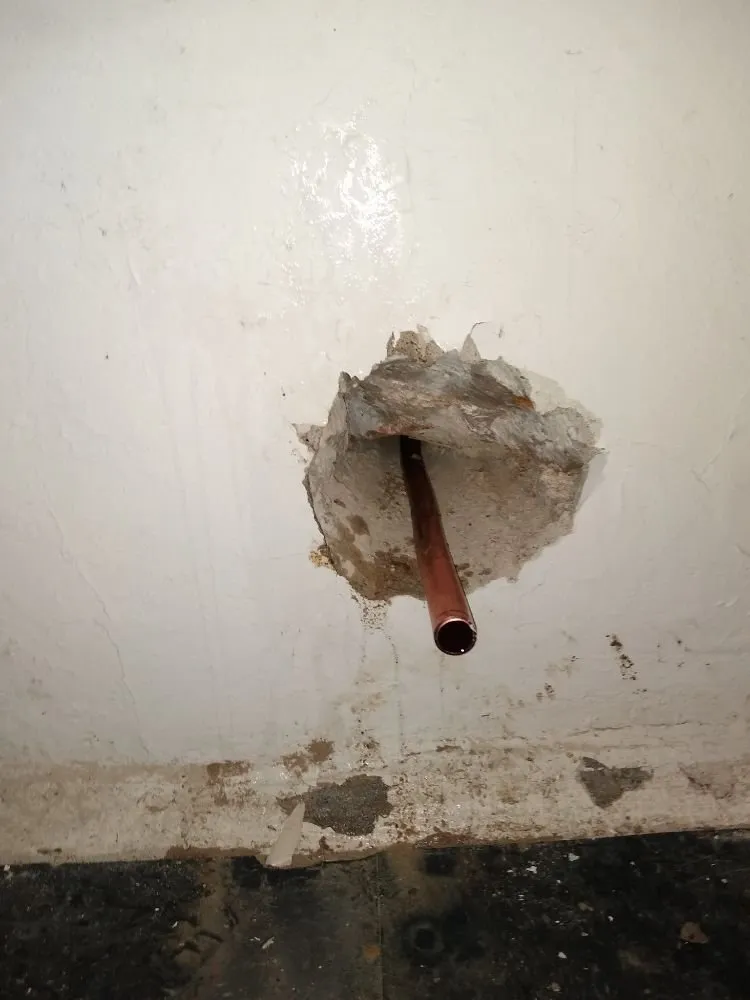 Emergency leak detection for homes in Kansas City, MO by Phillips Plumbing