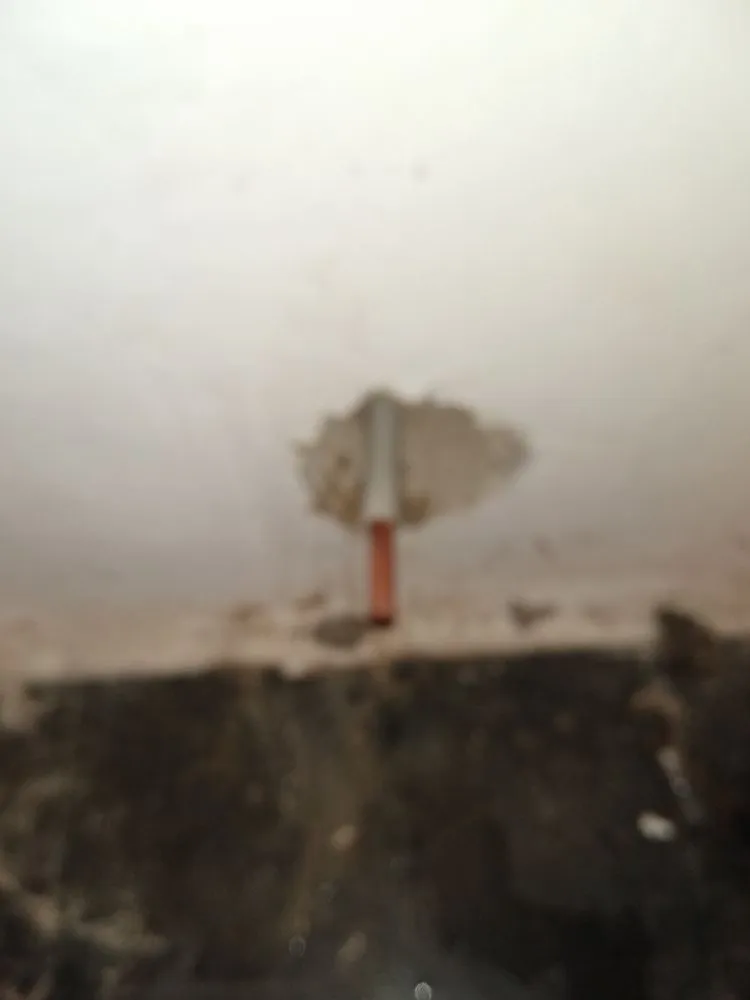 Reliable drain cleaning experts serving Kansas City, MO - Phillips Plumbing