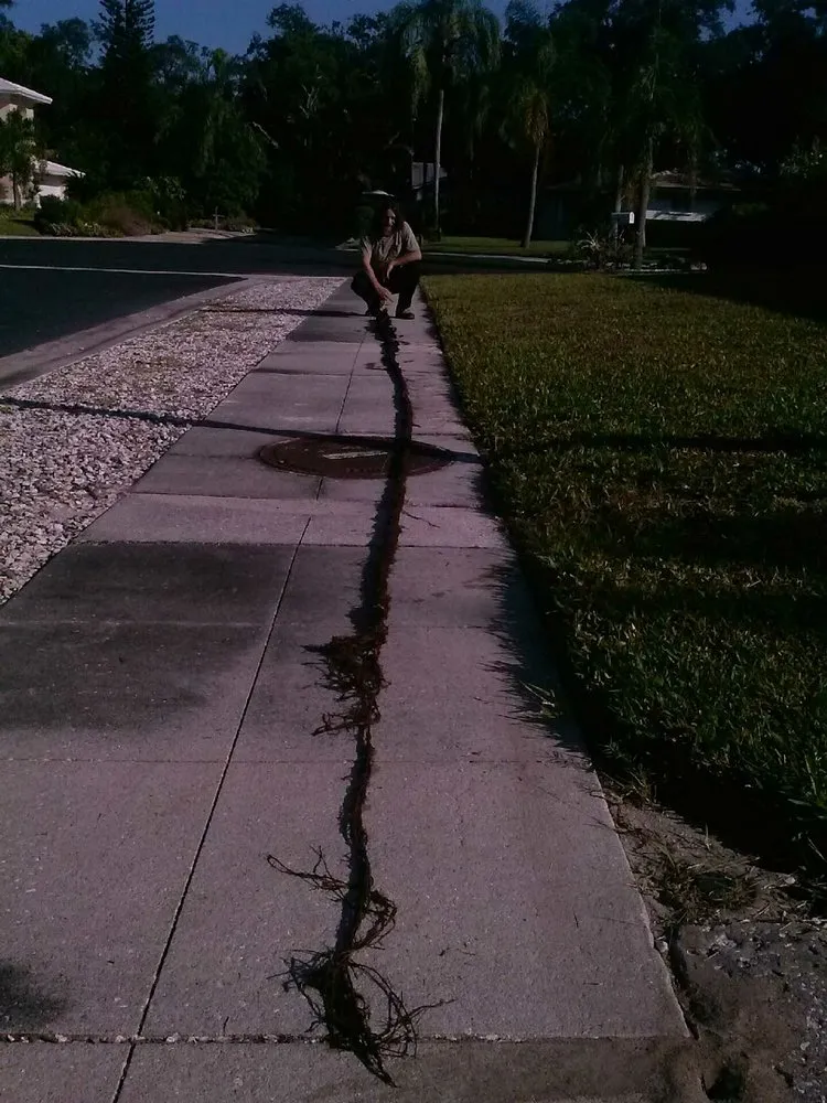 Slide of Phillips Plumbing