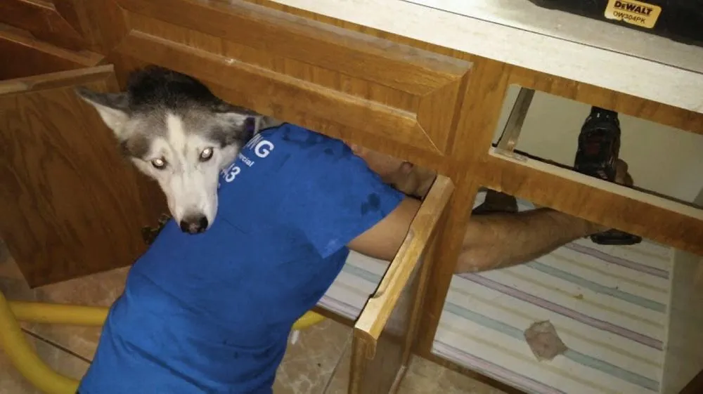 Slide of Philly Plumbing Pros