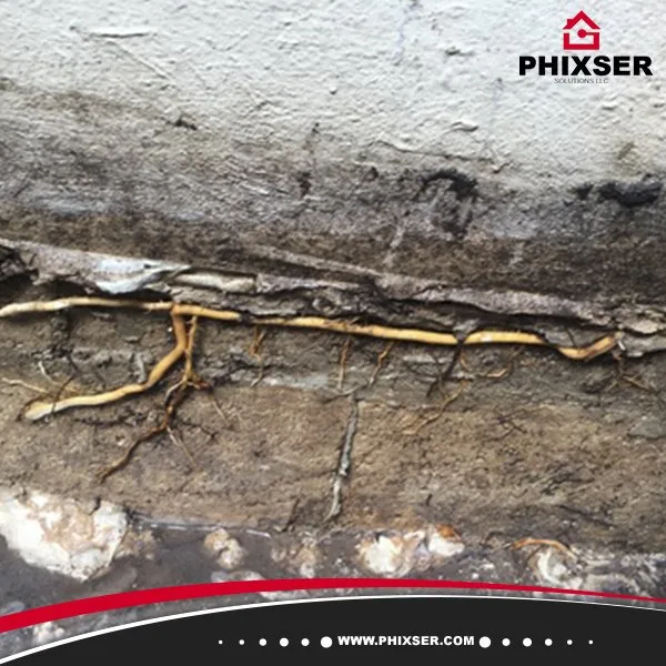 Slide of Phixser Solutions