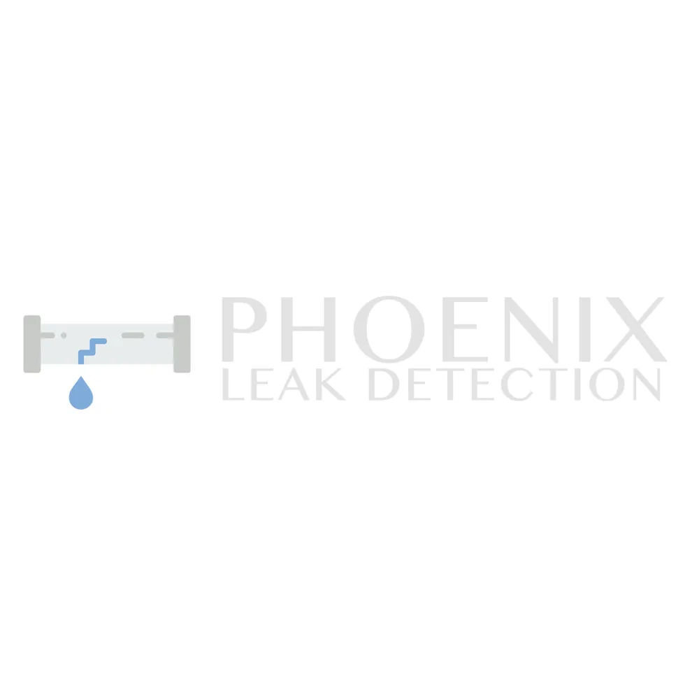 Slide of Phoenix Leak Detection