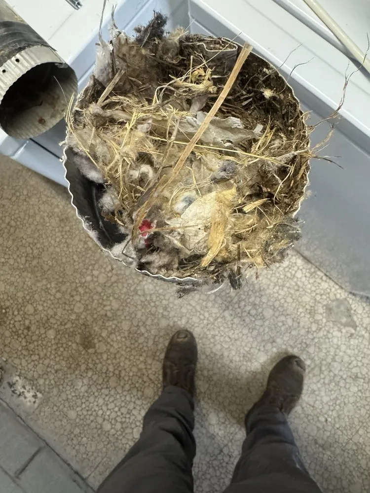 Slide of Picciones Heating and Cooling