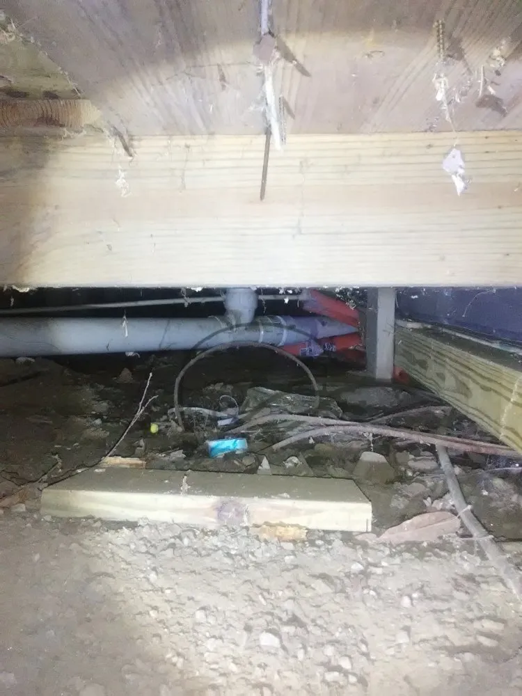 Reliable leak detection service in Daytona Beach, FL - Pickard's Emergency Plumbing & Drain Cleaning