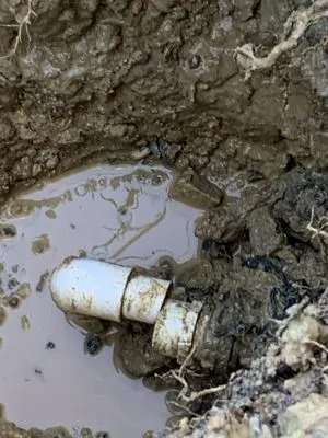 Piedmont Plumbers of Columbia