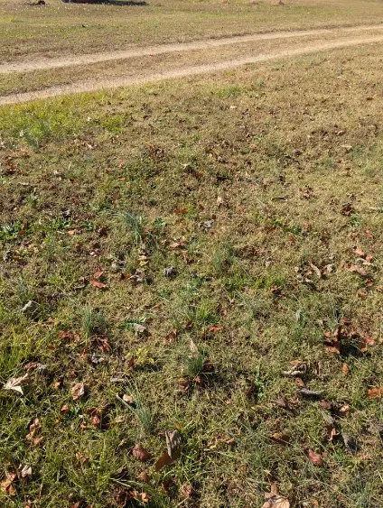 Slide of Pierce's Plumbing