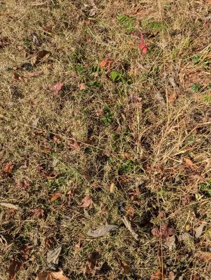 Slide of Pierce's Plumbing