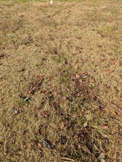 Slide of Pierce's Plumbing