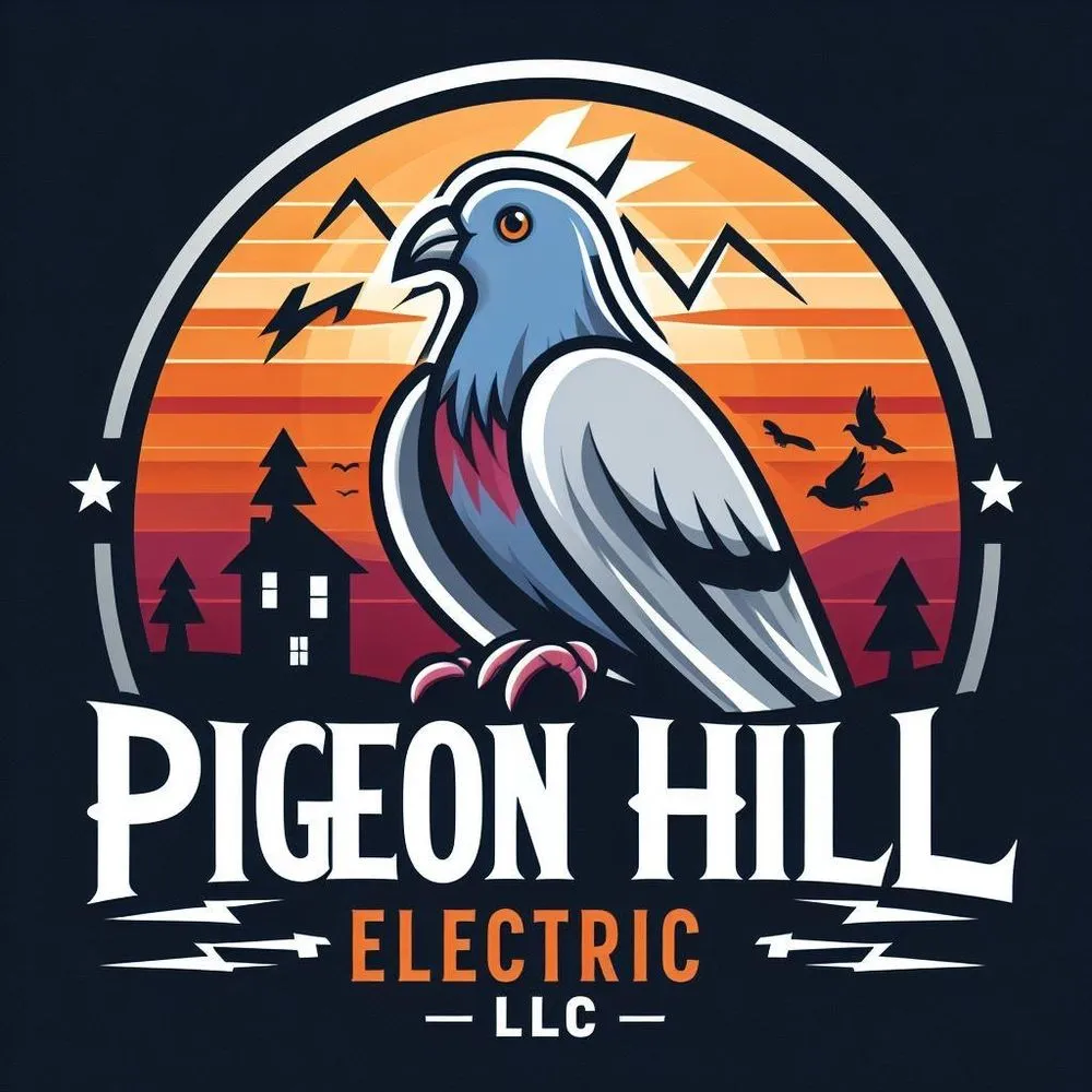 Top-rated drain cleaning service in Burlington Flats, NY - Pigeon Hill Electric