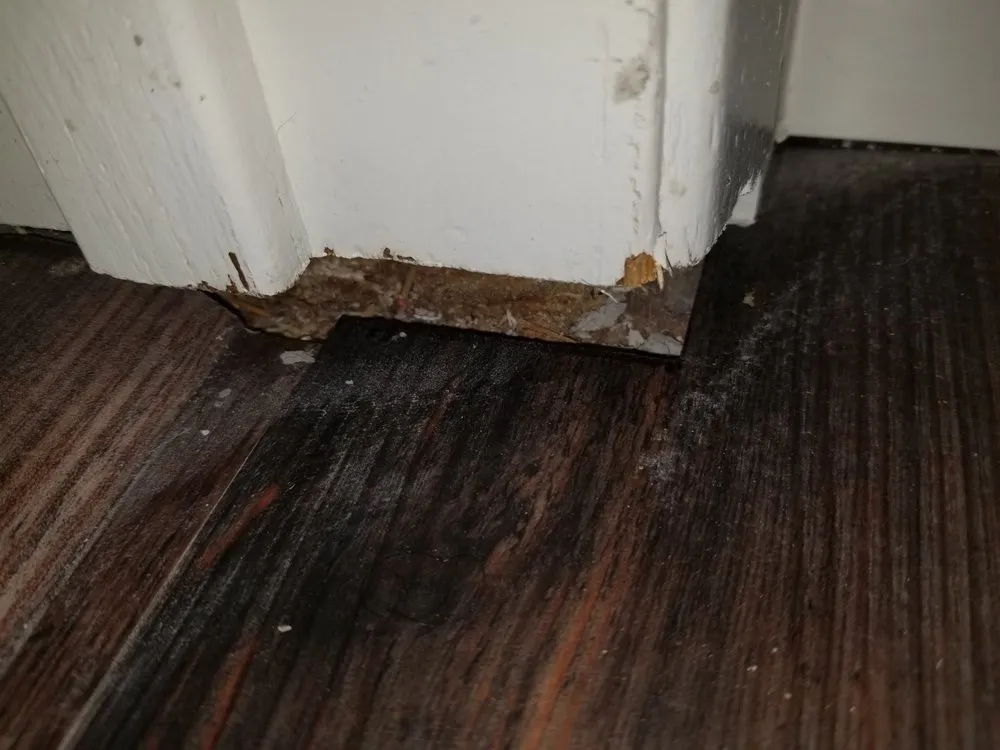 Slide of Pillar Resources