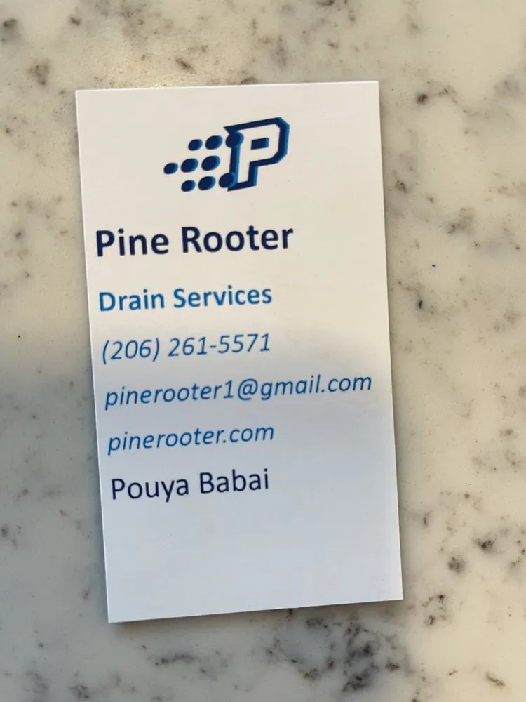 Slide of Pine Rooter
