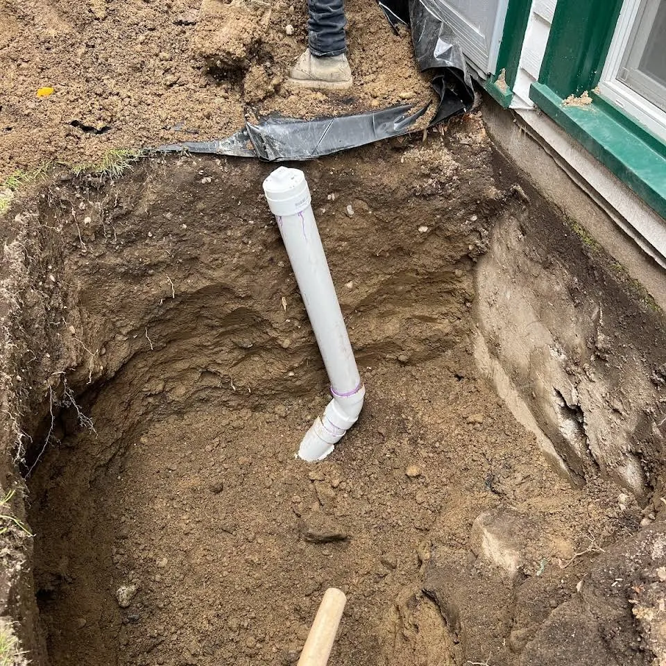 Slide of Pine Rooter