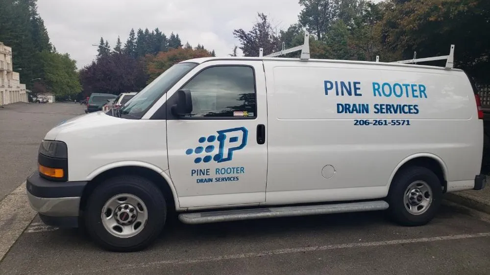 Slide of Pine Rooter