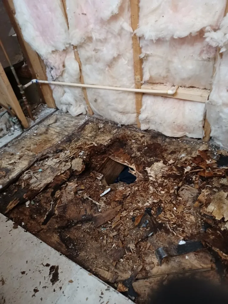 Slide of Pinebelt Plumbing