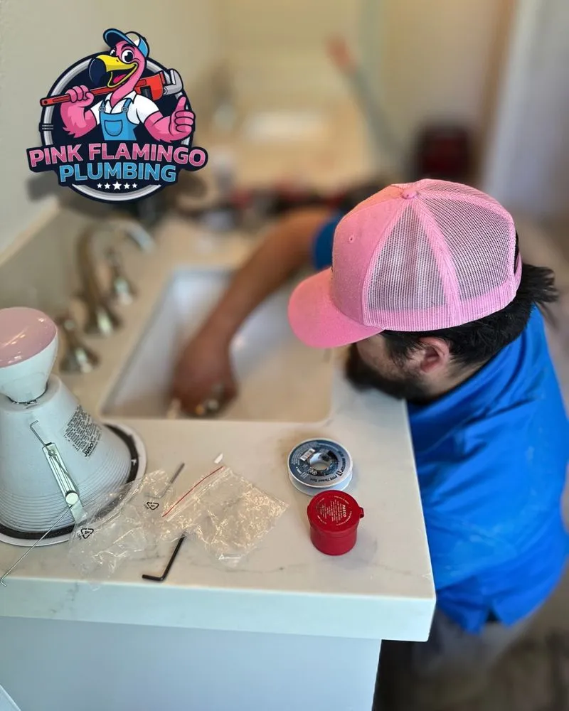 Slide of Pink Flamingo Plumbing