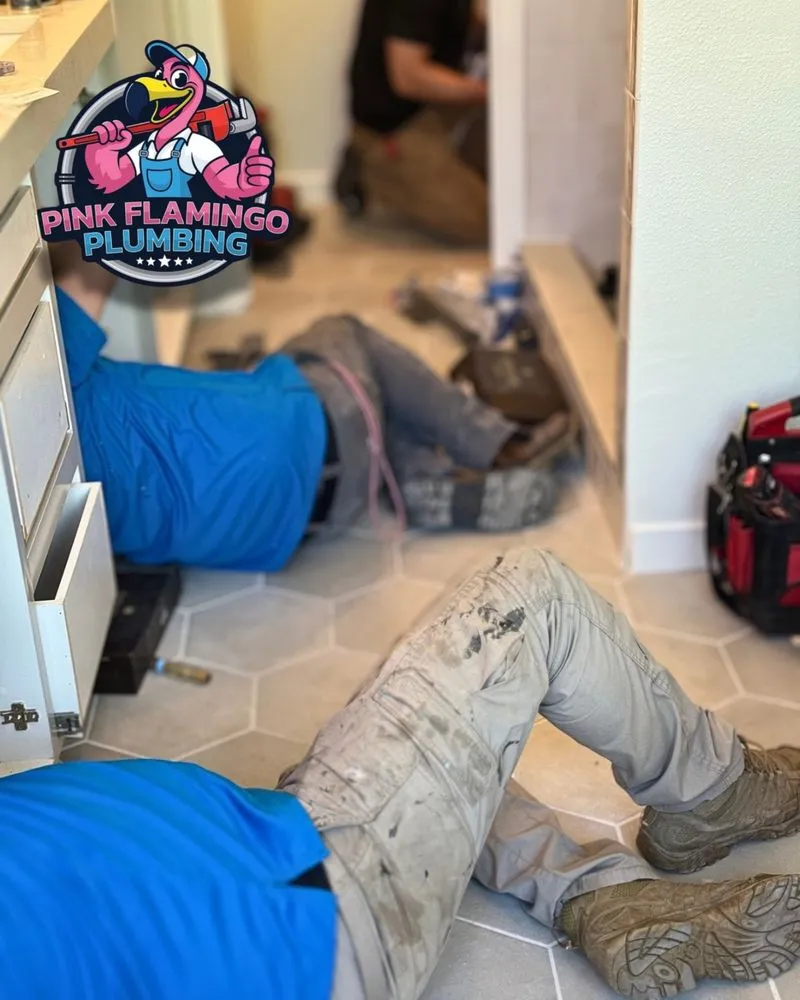 Slide of Pink Flamingo Plumbing