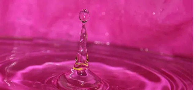 Slide of Pink Plumbing