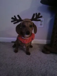 Slide of Pinky's Plumbing