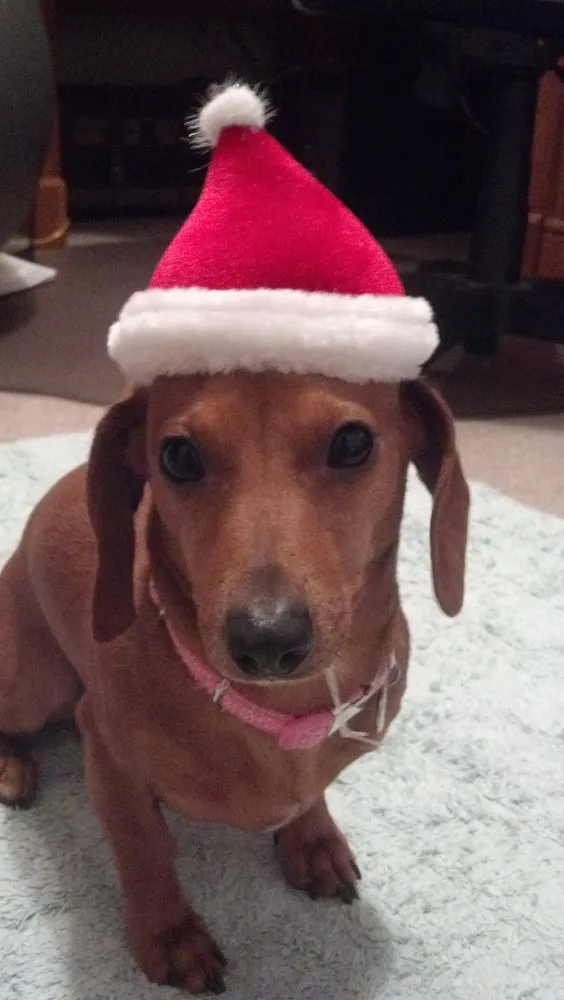 Slide of Pinky's Plumbing