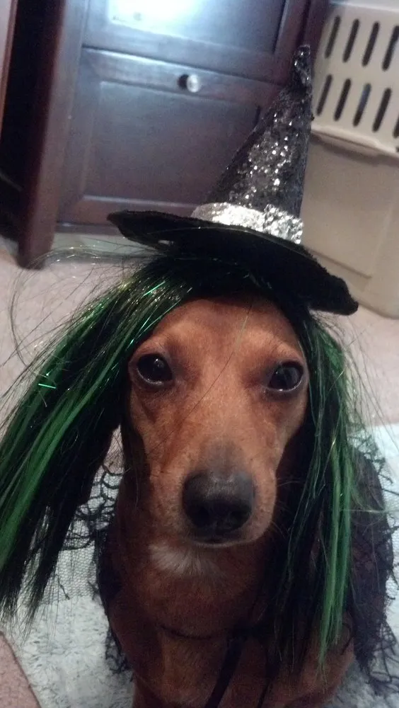 Slide of Pinky's Plumbing