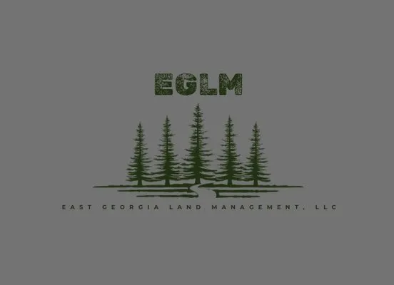 Pinnacle Siteworks Logo