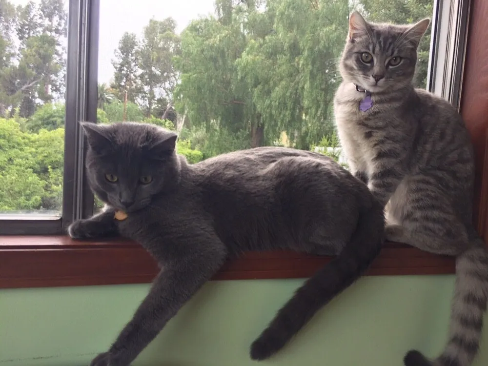 Slide of Pipe Bros Repipe Experts