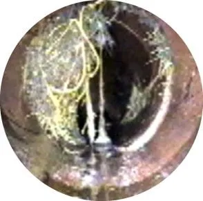 Slide of Pipe Cam