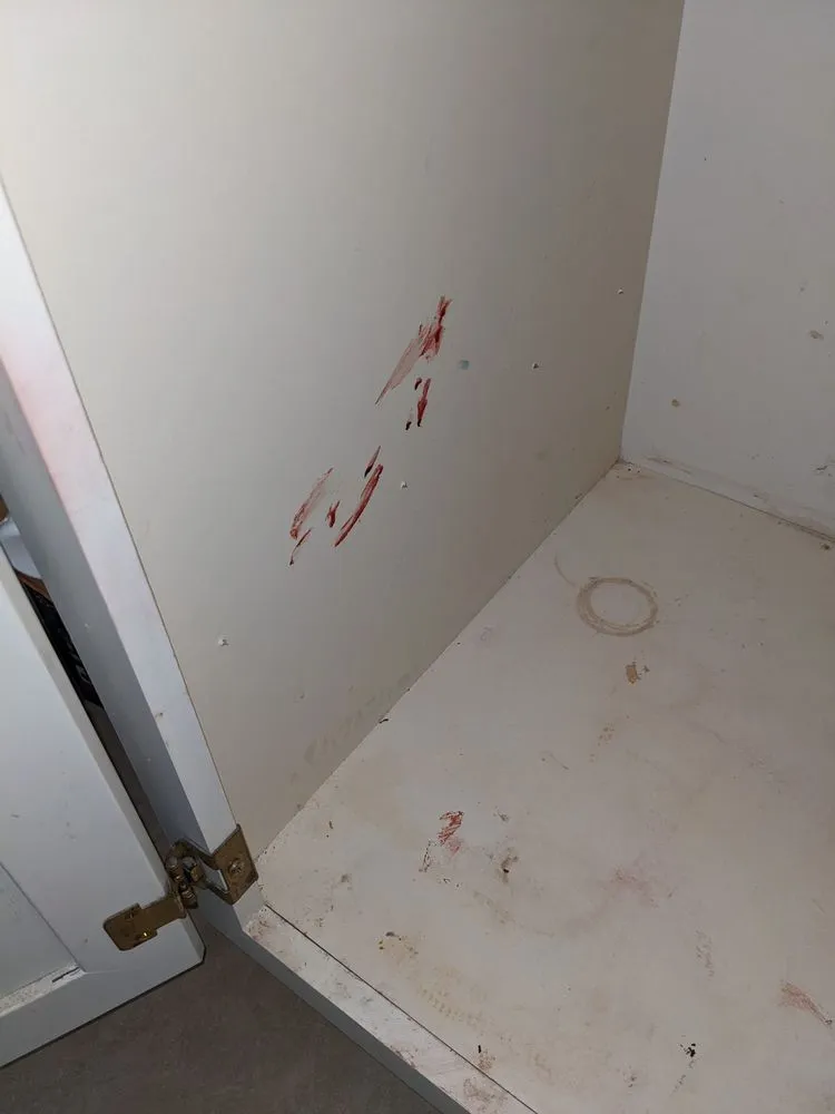 Slide of Pipe Down Services, Inc