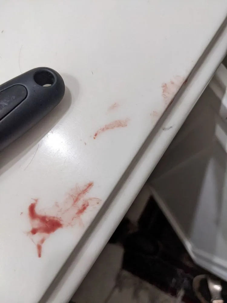 Slide of Pipe Down Services, Inc